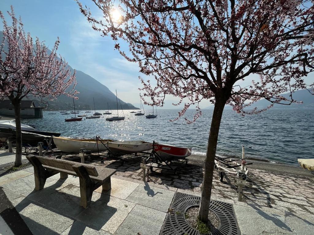Il Sole Di Calde Lago Maggiore 504 Castelveccana ภายนอก รูปภาพ