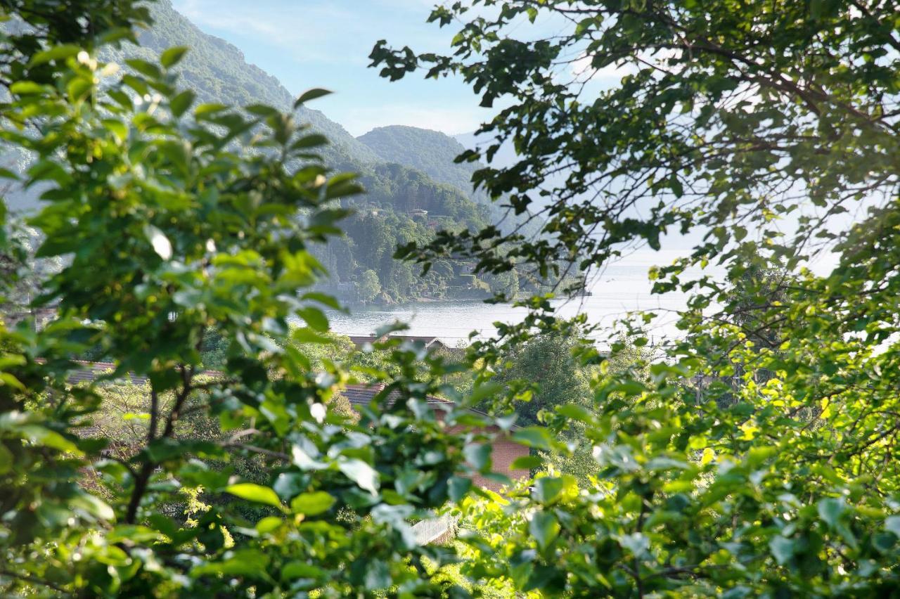 Il Sole Di Calde Lago Maggiore 504 Castelveccana ภายนอก รูปภาพ